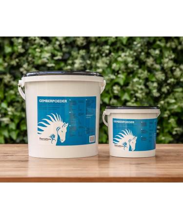 PharmaHorse Ginger powder Digestion Bowel function 100 free from added sugars 3000 grams - Buy Online on GoSupps.com