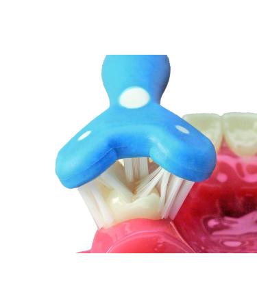 Surround Toothbrush (Pack of 2) (Blue/Coral)