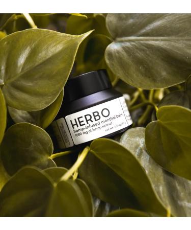 Herbo Menthol Body Balm - Organic Shea Butter & Hemp Moisturizer | Cruelty-Free Paraben-Free Body Cream for All Skin Types - 1.7 oz - Buy Online on GoSupps.com