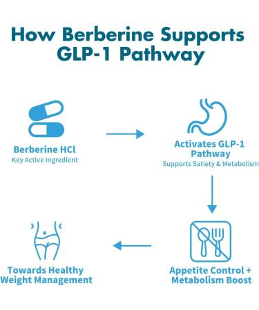 GLP-1 Supplement High Potency Berberine HCl 1500mg with Ceylon Cinnamon Green Tea & Cayenne Extract Supports Appetite Control Gut Balance & Metabolism 90 Capsules - Buy Online on GoSupps.com