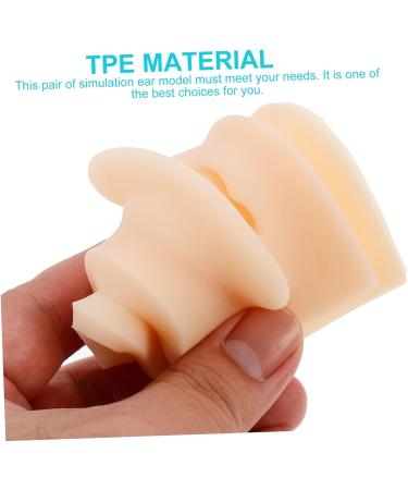 Silicone Tool 1 Pair Ear Model Science Teaching Tools Teaching Aid Ear Model Human Body Model Massage Tool Pro Tools Ear Models Ear Presentation Model Ear Model Body - Buy Online on GoSupps.com