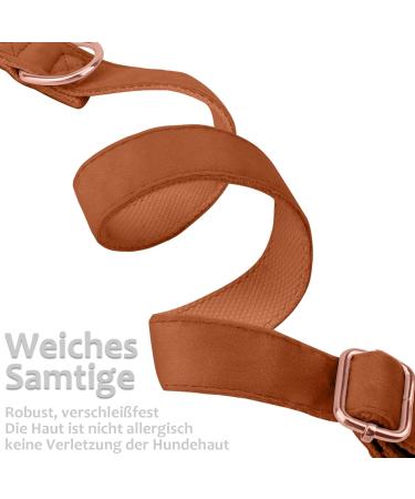 Asvin Velvety Dog Collar with Removable Fly - Soft Comfortable & Multicolored - Perfect for Weddings Birthdays & Parties | International Shipping - Buy Online on GoSupps.com