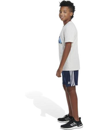 adidas Boys' Big Short Sleeve Bos Ghost Logo T-Shirt - Large Alumina - Buy Online on GoSupps.com