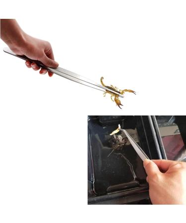 Yoogeer 3in1 Feeding Tool Reptile Feeding Tongs Cricket Clamp Bug Scooper Cleaning Supplies Scooper+ 2X Tweezers for Reptile Hedgehog Hamsters Guinea Pig Lizard Spider Bearded Dragon (Black) - Buy Online on GoSupps.com