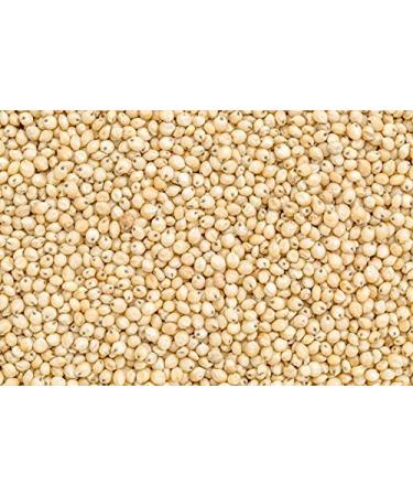 Jalpur - Whole Sorghum Seeds (Juwar Whole) - 1kg