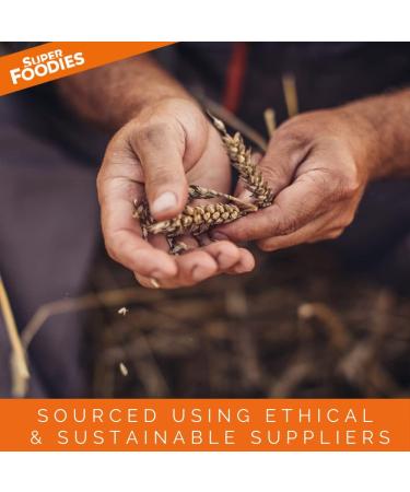 Superfoodies Raw Organic Criollo Cocoa/Cacao Nibs 100g - Sustainably Sourced from Peru, Non-GMO - Pack of 1 - Buy Online on GoSupps.com