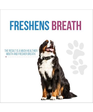 Revive Active - Enzymatic Dental Wafers for Medium-Large Dogs 14ct Prevents Plaque and Tartar Antiseptic Reduces Bacteria Improves Hygiene Oral of your Dog. - Buy Online on GoSupps.com