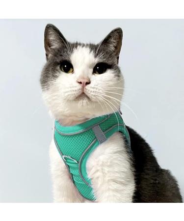 Joyal Dog Harness - Reflective Soft Padded Breathable Air-Mesh for Small Dogs & Cats - Turquoise XXS (31-34cm) - Buy Online on GoSupps.com