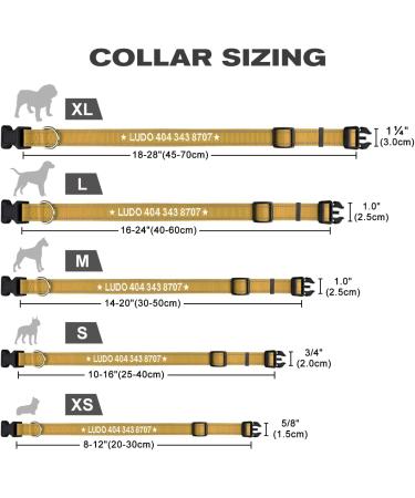 Tagme Personalized Dog Collar for Small Dogs - Reflective Nylon with Embroidery Pet Name & Phone Number - Khaki (1 Pack) - Buy Online on GoSupps.com
