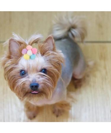 ZARSIO Small Dog Hair Clips Cute Dog Hair Bows Fur Ball Flower Puppies Hair Barrettes Alligator Hair Clips Cat Puppy Party Birthday Grooming Hair Accessories - Buy Online on GoSupps.com