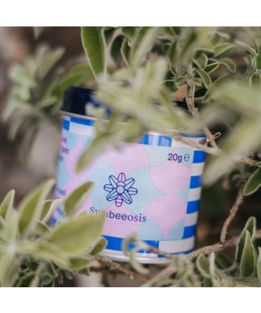 Symbeeosis Organic Sage - Antioxidant and Antiseptic Herbal Infusion to Improve Mood and Memory Culinary Herb for Mediterranean Dishes - Buy Online on GoSupps.com