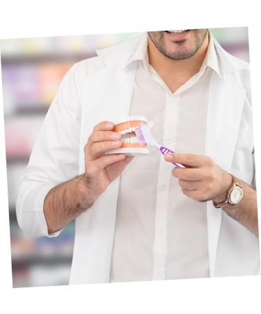 Collbath 2-Piece Prosthesis Cleaning Brush Set - Portable Double-Head Toothbrush for Effective Prosthesis Care - Buy Online on GoSupps.com