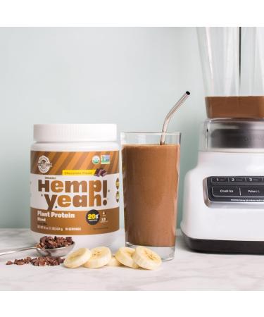 Manitoba Harvest Hemp Yeah! Org Protein Blend-Chocolate 454g & Hemp Hearts 454g - Buy Online on GoSupps.com