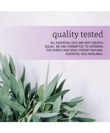 NOW Eucalyptus Oil 1 Fl Oz (Pack of 3) - Buy Online on GoSupps.com