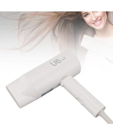Ionic Hair Dryer Blow Dryer 1800W Compact and Folding 2 Gears Portable Hair Dryer for Home Travel (US Plug 110V) - Buy Online on GoSupps.com