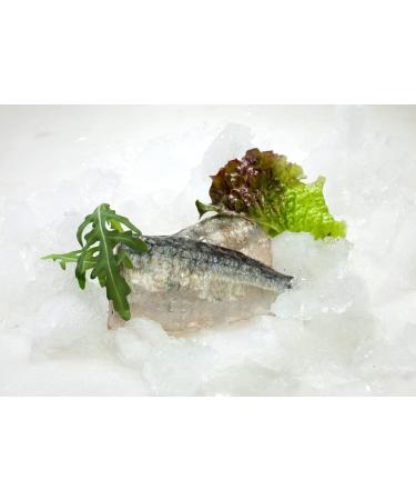 Minerva Portugal Sardines in Olive Oil 360g (3 cans x 120g) - Premium Quality - Buy Online on GoSupps.com