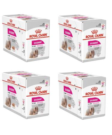 Royal Canin Exigent |4 pack |4 x 12 x 85 g |Wet food for adult dogs from the 10th month of life |For key dogs |With high -quality proteins