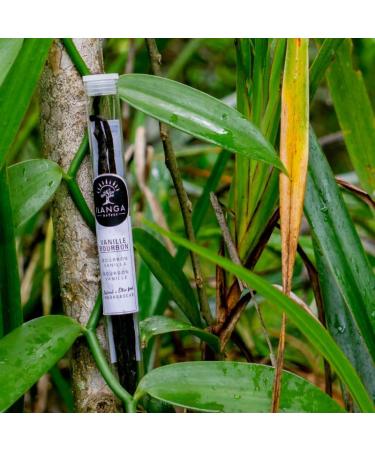 Ilanga Nature - Vanille Bourbon - Tube de 3 Gousses - Buy Online on GoSupps.com