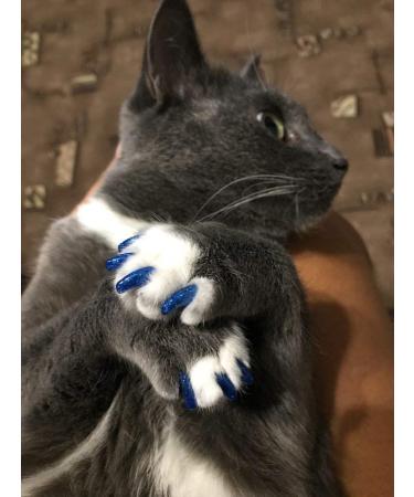 YMCCOOL 100pcs Cat Nail Caps/Tips with Adhesive Glue & Applicator - XS Size for Pet Cat Kitty Soft Claws Covers - Buy Online on GoSupps.com
