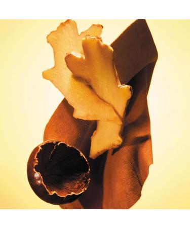 Hugo Boss The Scent Eau de Toilette Ambery Men's Cologne With Notes of Ginger Manika Fruit & Leather Accords Long Lasting Fragrance 9 Fl Oz (Pack of 1) - Buy Online on GoSupps.com