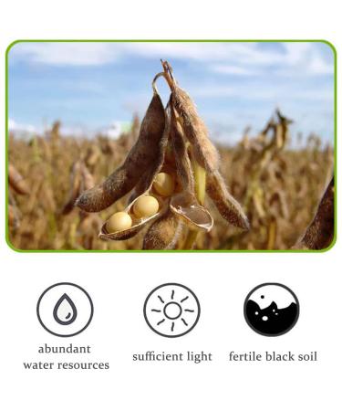 Organic Non-GMO 17.6oz Bulk Soybeans - Vegan Friendly Dry Soybeans for Soy Milk and Tofu - Buy Online on GoSupps.com