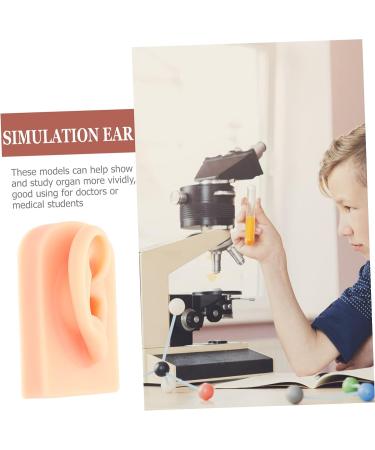 ULTECHNOVO Silicone Ear Model for Practice and Display - Khaki Silicone Human Ear Prosthesis with Perforation - Buy Online on GoSupps.com