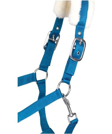 RL24 Halter with Plush Padding - BASICLINE in 6 Colors for Shetty Pony Thoroughbred Warmblood | Turquoise Shetty - Buy Online on GoSupps.com