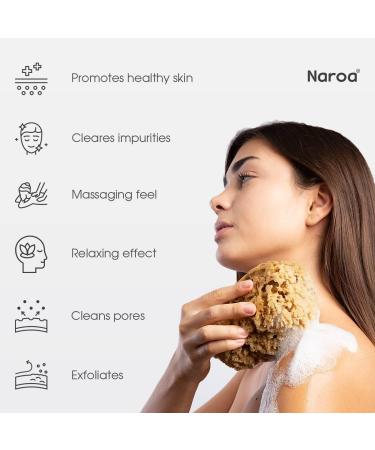 Naroa Natural Sea Sponge for Bathing | Firm Exfoliating Body Scrubber | Eco-Friendly & Renewable | Medium Size | Men & Women - Buy Online on GoSupps.com