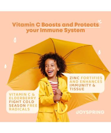 Organic Kids Vitamin C Drops with Elderberry Extract, Zinc & Antioxidants - Immune Support - Sugar-Free - 2 fl oz - Buy Online on GoSupps.com