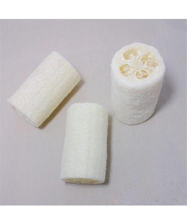 Durability Popular Body Sponge Bath Cleaning and Cleaning Work Set of 3 Stylish Nice and Deft - Buy Online on GoSupps.com