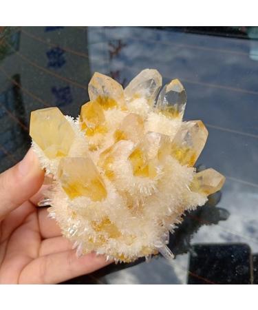 Crystal Rough for Natural Yellow Quartz Rough Cluster Citrine Crystal Reiki Cluster Specimen (Size : 300g) - Buy Online on GoSupps.com