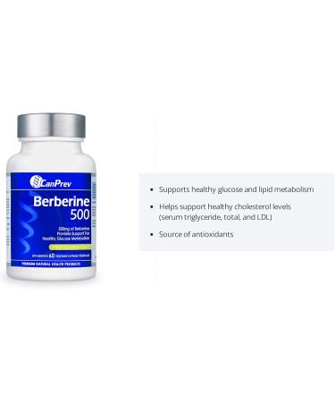 CanPrev - Berberine 500mg 60 v-caps - Provides Support for Healthy Glucose Metabolism - Helps Support Healthy Cholesterol Levels and Blood Lipid Levels - Source of Antioxidant - Buy Online on GoSupps.com