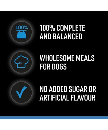 CESAR Senior 10+ Deliciously Fresh Wet Dog Food Pouches Aged Dogs Mixed Selection in Jelly Suitable for Senior Dogs Aged 10+ Pack of 4 (4 x 12 Pouches x 100 g) - Buy Online on GoSupps.com