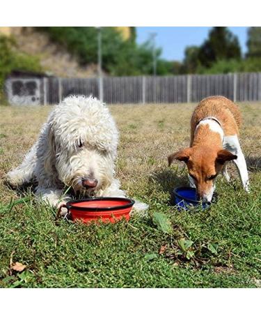 Phonenatic Foldable Silicone Dog Bowl - Orange Travel Bowl for Dogs & Cats with Carabiners (350 ml) - Durable & Portable Design - Buy Online on GoSupps.com