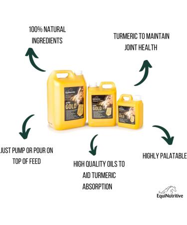 Alpha Gold by EquiNutritive - Tumeric and Linseed Oil Joint Care Supplement for Horses. 100% Natural Equine Support Supplements for Hips Joints & Mobility. Easy-to-Feed Ready-to-Use Liquid (1L) 1 l (Pack of 1) - Buy Online on GoSupps.com