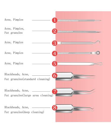 8PCS Stainless Steel Blemish Removal Tool Kit in Portable Metal Case - Buy Online on GoSupps.com