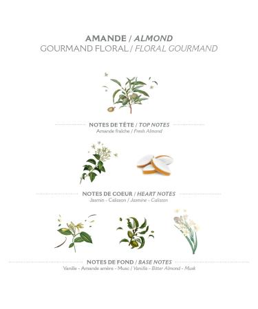Buy Bread the Sens Almond Hand Cream - 97% Natural Moisture & Care for Dry Hands - Shea Butter & Almond Oil - 30 ml - International Shipping Available - Buy Online on GoSupps.com