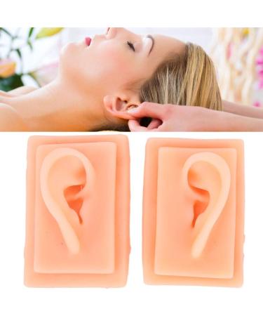 Acupuncture Ear Model for Practice | 2-Piece Set | Smooth Texture | Ideal for Students - Buy Online on GoSupps.com