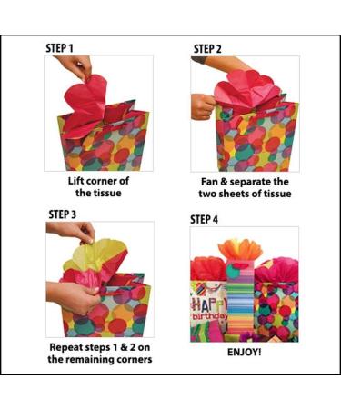 Florida Gators Large Gogo Gift Bag - Official Turner Sports (Old) Merchandise - Buy Online on GoSupps.com