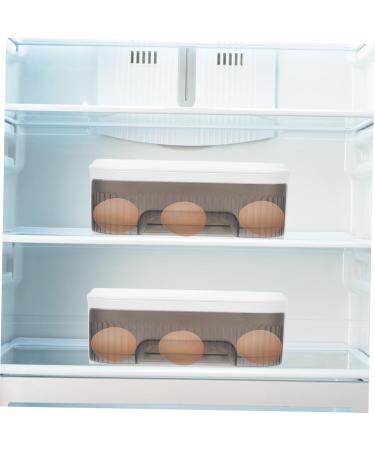 RORPOIR Box Refrigerator Egg Carton Eggs Egg Storage Container for Refrigerator Egg Tray Container Automatic - Buy Online on GoSupps.com