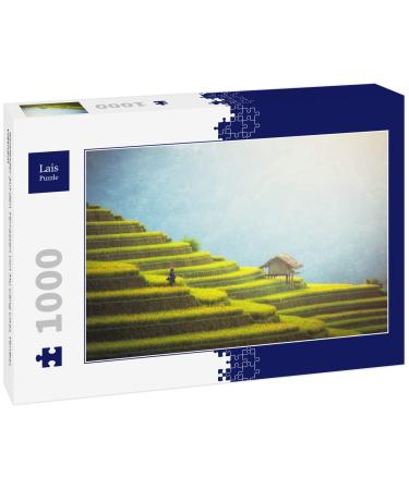 Lais Puzzle Rice fields on the terraces of Mu Cang Chai YenBai Vietnam 1000 pieces