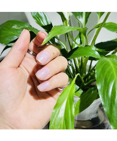 24 PCS Shining Powder French Edge False Nails Short Glossy Oval Press on Nails for Women and Girl Full Cover Wear Finger Nail Art Tips 14 - Buy Online on GoSupps.com