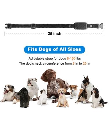 Anti Bark Collar for Dogs - Stop Barking Deterrent Device for Large, Medium, Small Dogs - Waterproof & Rechargeable - 2 Modes Beep & Vibration - No Shock - Buy Online on GoSupps.com