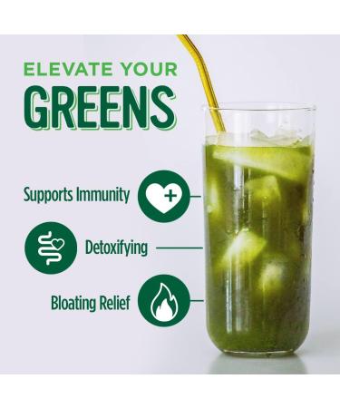 VitaCup Super Greens Powder - Boost Energy, Detox, and Immunity - 50+ Premium Superfoods with Probiotics, Prebiotics, Fiber, Antioxidants, Adaptogens - Berry Lemon Flavor - 30 Servings - Buy Online on GoSupps.com