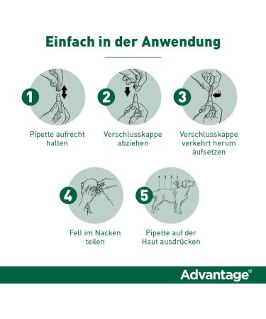 Buy Elanco Advantage Spot-on for Small Dogs (4-10 kg) - Flea Control & Prevention 4 Pipettes - Buy Online on GoSupps.com