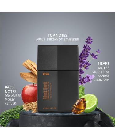 PUB BLACK ROCK Magnetic Aroma For Men Eau De Parfum Spray Citrus Aromatic Woody 100 ML Long Lasting Fragrance/Diamond in Perfumes (Black Diamond) - Buy Online on GoSupps.com