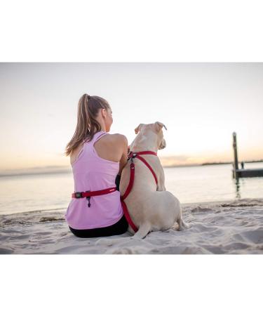 Ezydog Jogging Leash for Small & Medium Dogs - Reflective Elastic Bungee 210cm - Ideal for Jogging Outdoors - Buy Online on GoSupps.com