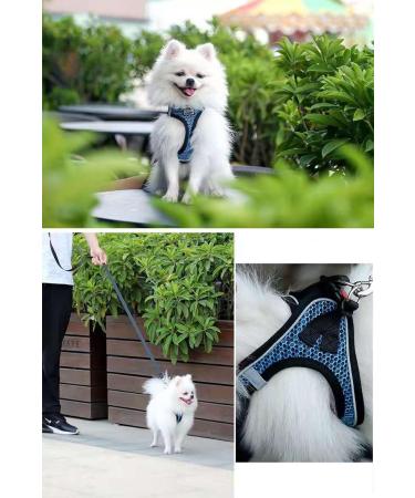 Buy LOOK ANDES CARE Cat Harness with Leash & Breakable Dishes - Adjustable & Reflective Perfect for Cats & Puppies (Chest 30-35cm) - Durable Blue Color - Buy Online on GoSupps.com