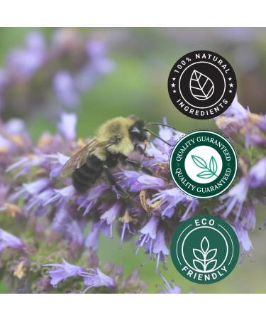 GreenHealth Hyssop Essential Oil - 4 fl oz (118 ml) Glass Bottle with Cap - 100% Pure Essential Oil - Buy Online on GoSupps.com