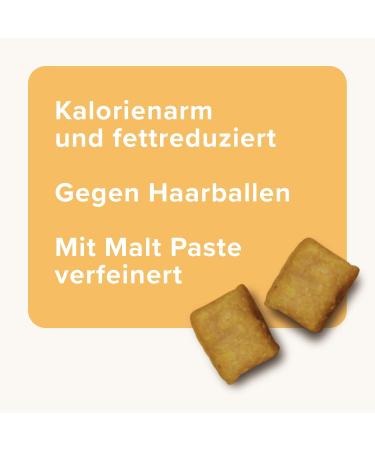 Beaphar Vit Bits for Cats Multi-Vitamin Paste with Taurine | Daily Vitamin Supply | 150g | International Shipping Available - Buy Online on GoSupps.com